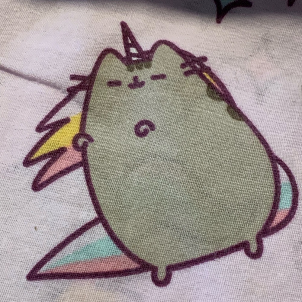 Pusheen the Cat Cute Unicorn Cat Graphic Tee